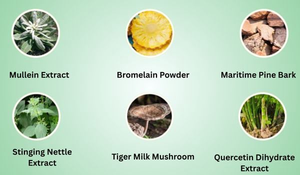 Pulmo Balance ingredient